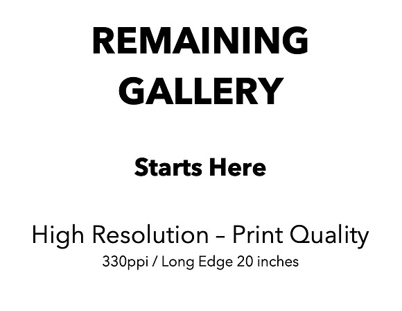 Rest of Gallery